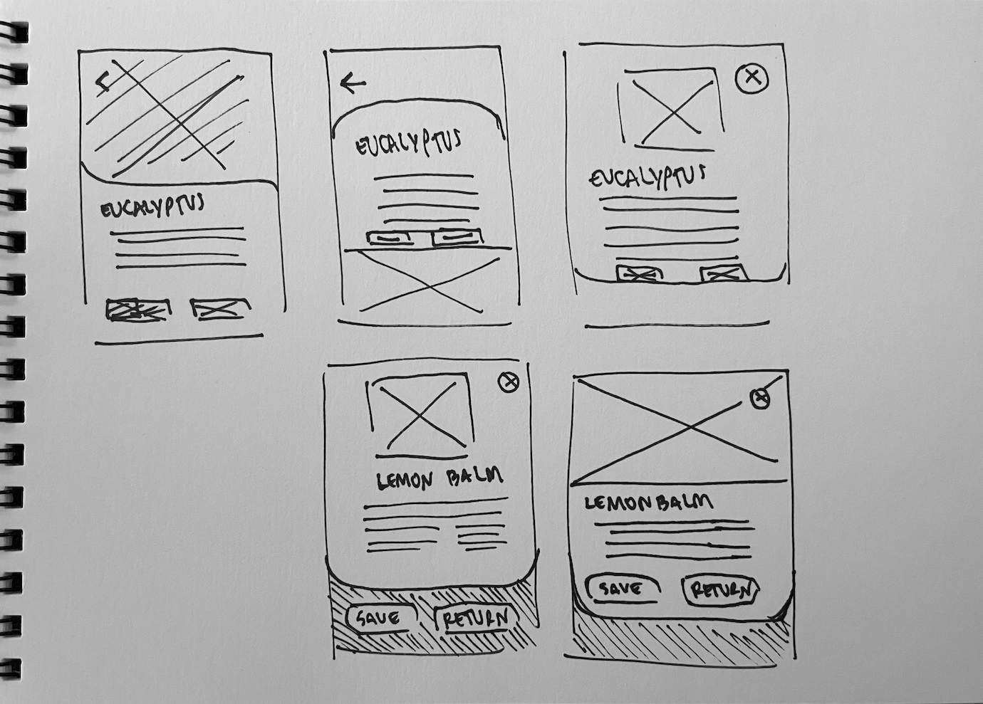 initial sketches